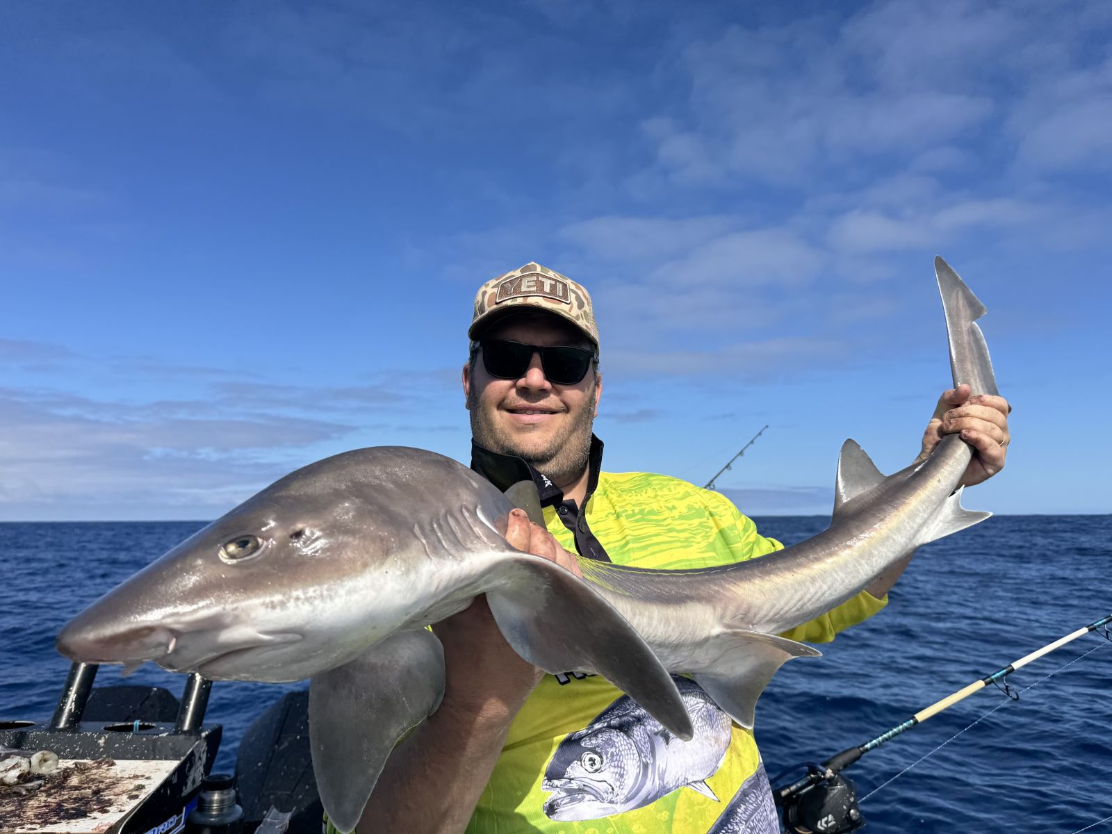 Gummy Shark Charter